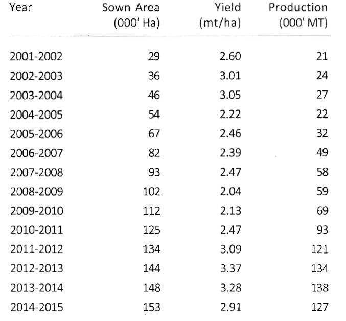 Oil palm