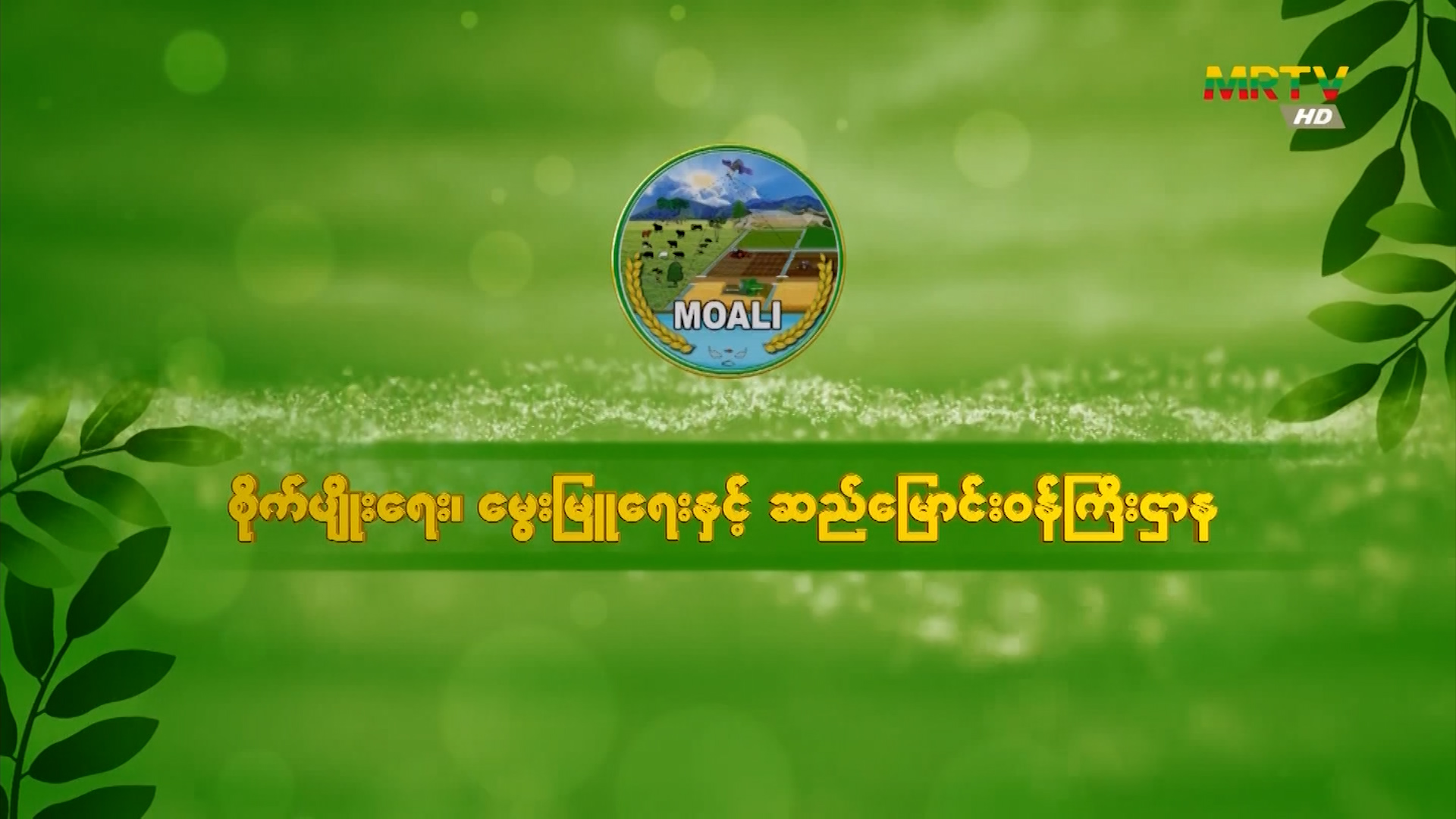 MOALI